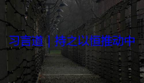 习言道持之以恒推动中俄关系高水平发展