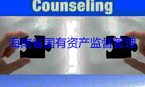 有福接受审委副书记王海南省国有理委员会党资产监督管查调查